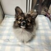 ちょい出し(^^;)