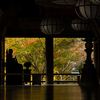 奈良県紅葉の絶景スポット、長谷寺とか鳥見山公園とかで紅葉を満喫。