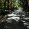 里山の道