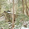 立春の加持ヶ峰遊山　凍滝