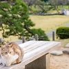 怖いから！歩道にあるベンチを撤去して欲しいんだけど