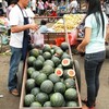 荷車の西瓜売り　　　(ラオス・ビエンチャン)