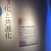 【お出かけスポット】【東京都】【台東区】毒展に行ってきました　続き×10