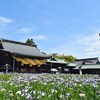 【宮地嶽神社の菖蒲2020】写真33枚としめ縄、鯉など