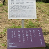 万葉歌碑を訪ねて（その１１６６）―奈良市春日野町　春日大社神苑萬葉植物園（１２６）―万葉集　巻七　一三六二