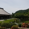 天龍寺　百花苑と曹源池庭園　～梅雨の晴れ間に咲く花々に惹かれて～