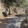 寸又（川右岸）林道＋ウムシトンネル　前編