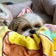 長く持つといいな
