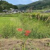 悔い改めを考える（2）具体的な罪の悔い改め