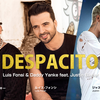 【歌詞和訳】Despacito (Remix)：デスパシオ（リミックス） - Luis Fonsi & Daddy Yankee：ルイス・フォンシ ＆ ダディー・ヤンキー ft. Justin Bieber：ジャスティン・ビーバー