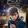 【ネタバレなし】ちょっと残念だった！『ファンタスティック・ビーストと魔法使いの旅』