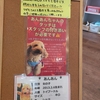 保護犬カフェ堺店　2021.6.24