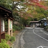 都内紅葉の名所めぐり『小石川後楽園』③涵徳亭～西門～白壁