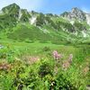 【旅行記 前編】夏におすすめの避暑地　駒ヶ根（こまがね）・蓼科(たてしな)の紹介　