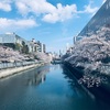親ﾌﾗ