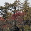 富士山編