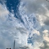 自分を知る