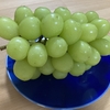 食欲の秋