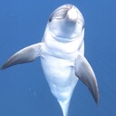 金欠トラベラー放浪記