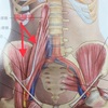 60代女性の腰痛