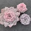 アメイジンググレイス