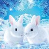 集中力と達成感を極める！ビバリー極小1000ピース「春待ちうさぎ」ジグソーパズルで脳を活性化！