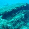 u/w wreckage　孤島妄想