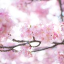全落ちから同志社へ