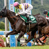 競馬初心者必見☆馬券予想🔥〜七夕賞〜血統データが顕著に現れるレース！