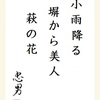 小雨降る 塀から美人 萩の花