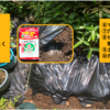 最低気温15度超えでピーマンを定植