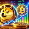 ドージコインとXRP、どちらが今後の決済通貨として優位に立つか？