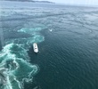 中国地方メインに車中泊でめぐる旅日記～8、9日目【渦の道・カップヌードルミュージアム編】