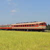 いすみ鉄道＆湘南ライナー