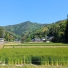 だらだらと