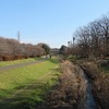 武蔵野公園（東京都府中市）