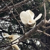 モフモフ写真展