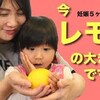 5月17日の動画