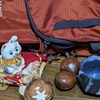 乱世に輝く男