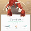 本日のポケ活