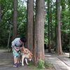 公園って最高ですね