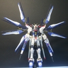 RG ストライクフリーダムガンダム　その４
