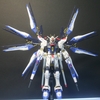 RG ストライクフリーダムガンダム　その４