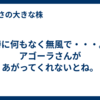 特に何もなく無風で・・・。アゴーラさんがあがってくれないとね。