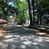 大宮 氷川神社 月参り 