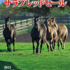 【千葉サラブレッドセール2013】の上場予定馬一覧が変更(2頭)