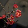 花三昧　＃0028