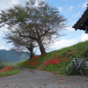 養老山地左回り