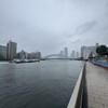 隅田川テラス8キロ：小雨降る中、スタスタと走るも10キロには届かず