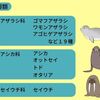 じじぃの「トドとセイウチ・脂肪の多い動物たち！まぎらわしい生きものたち」